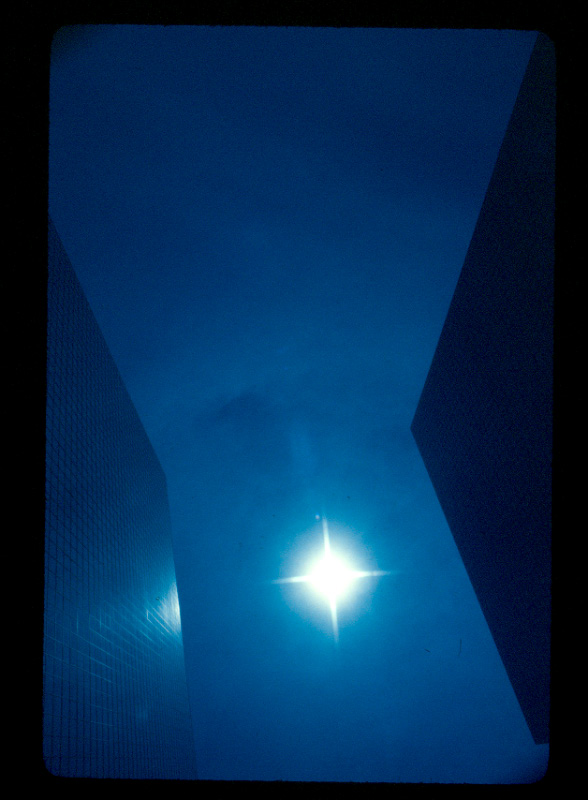 mirror sun – Dion McInnis